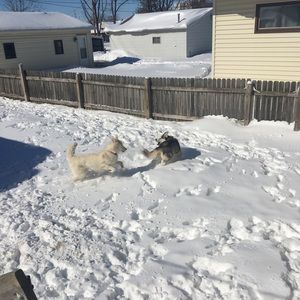 Meet your Posher, Dana